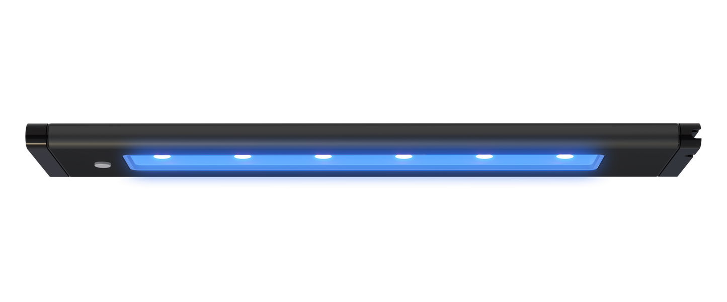 AI Blade Coral Grow - 57 inch