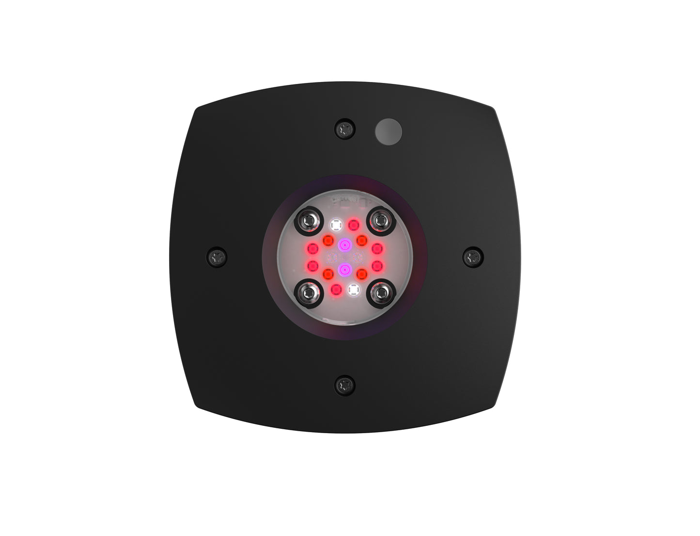 AI Aqua Illumination Prime Fuge