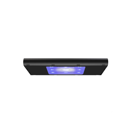 AI Hydra Edge 44HD