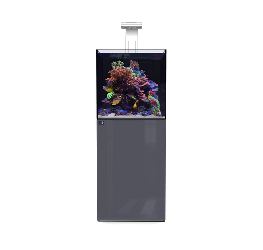 D-D Aqua Pro Reef Aquarium 600 Cube