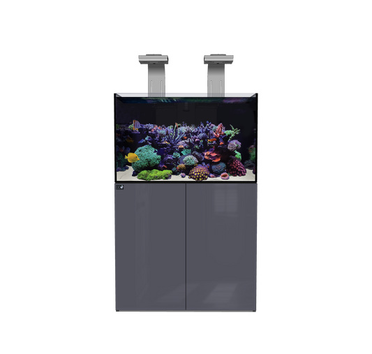 D-D Aqua Pro Reef Aquarium 900