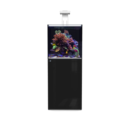 D-D Aqua Pro Reef Aquarium 600 Cube