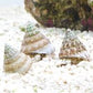 Grazer tectus snail