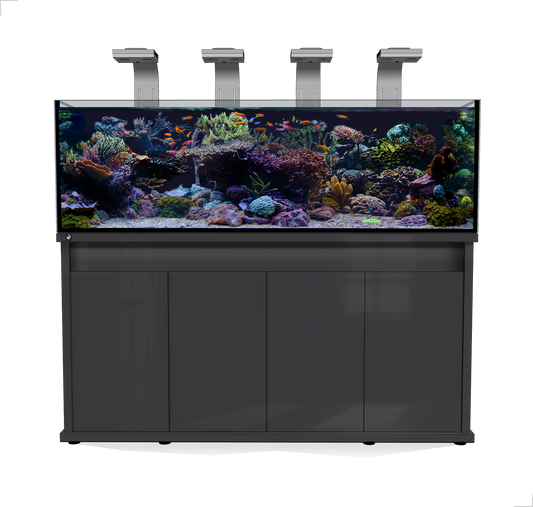 D-D Reef Pro 1800 Aquarium