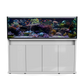 D-D Reef Pro 1800 Aquarium