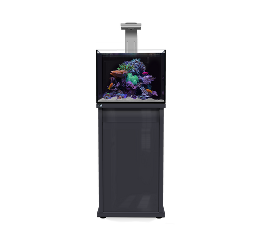 D-D Reef Pro 600 Aquarium
