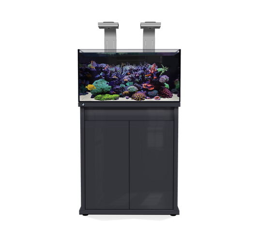 D-D Reef Pro 900 Aquarium