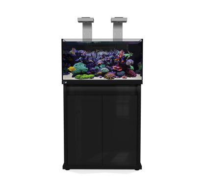 D-D Reef Pro 900 Aquarium