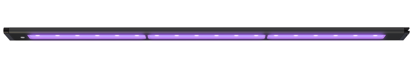 AI Blade Coral Glow - 12 inch