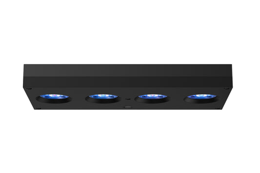AI Hydra 64HD