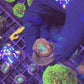 Rainbow acan