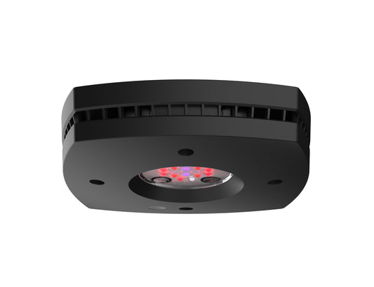 AI Aqua Illumination Prime Fuge